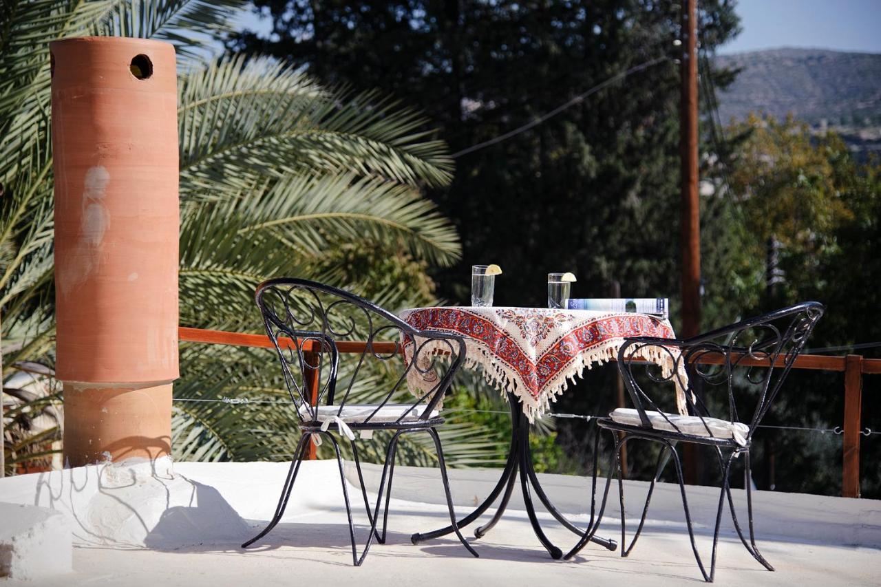 Palm Tree Oriental House And Homestay Polis Dış mekan fotoğraf