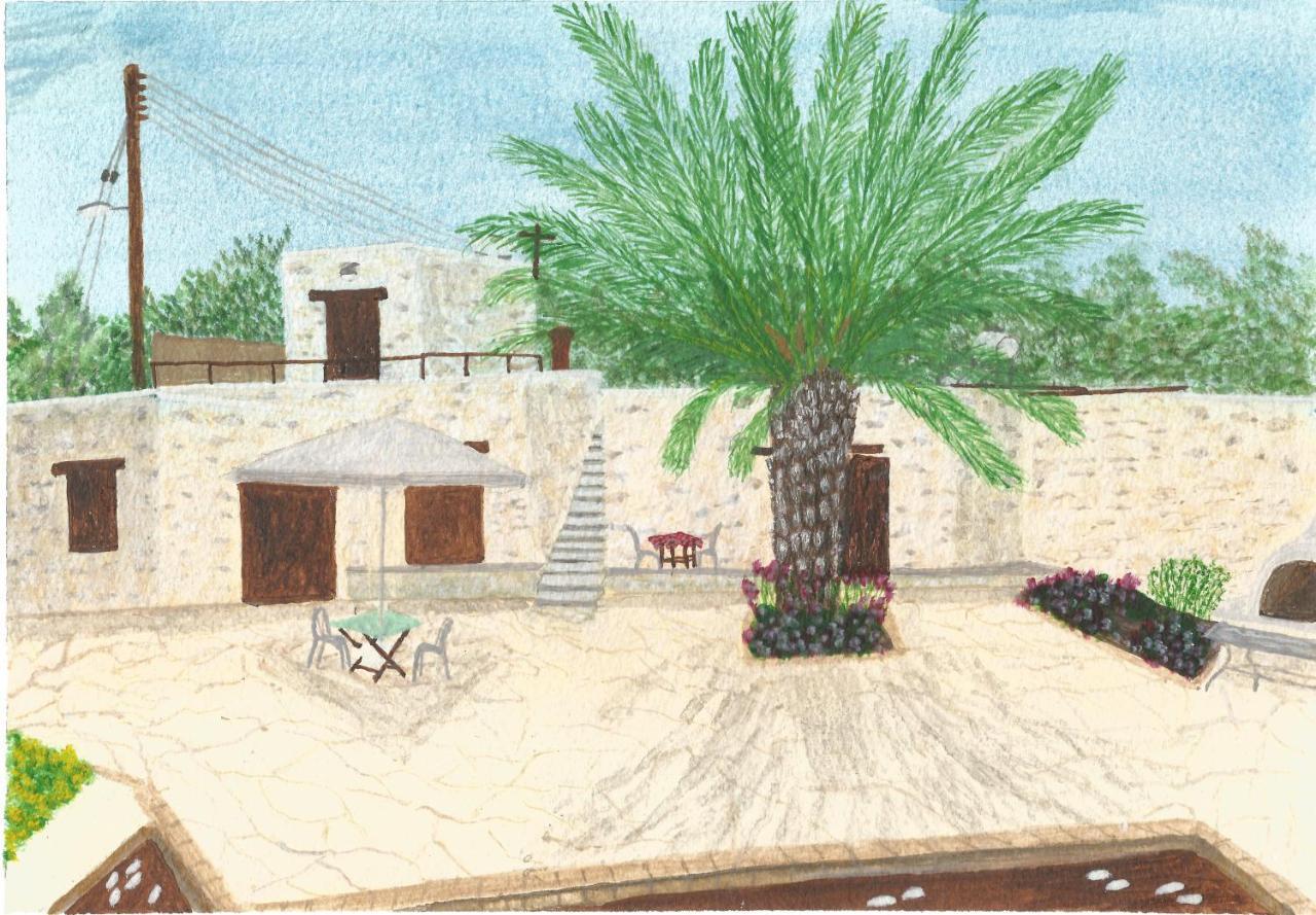 Palm Tree Oriental House And Homestay Polis Dış mekan fotoğraf